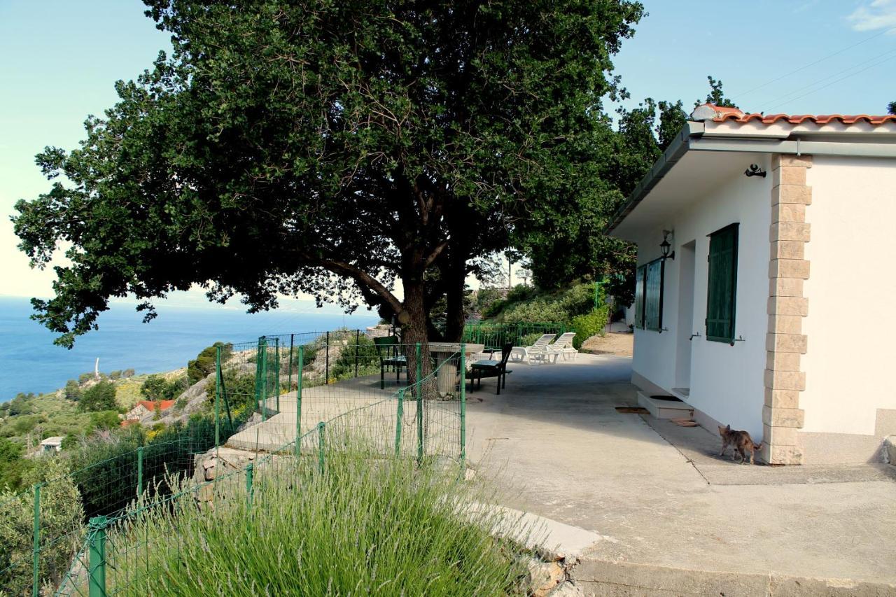 Villa " Davorka" Подгора Екстериор снимка