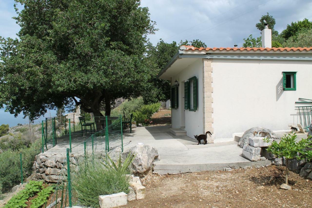 Villa " Davorka" Подгора Екстериор снимка