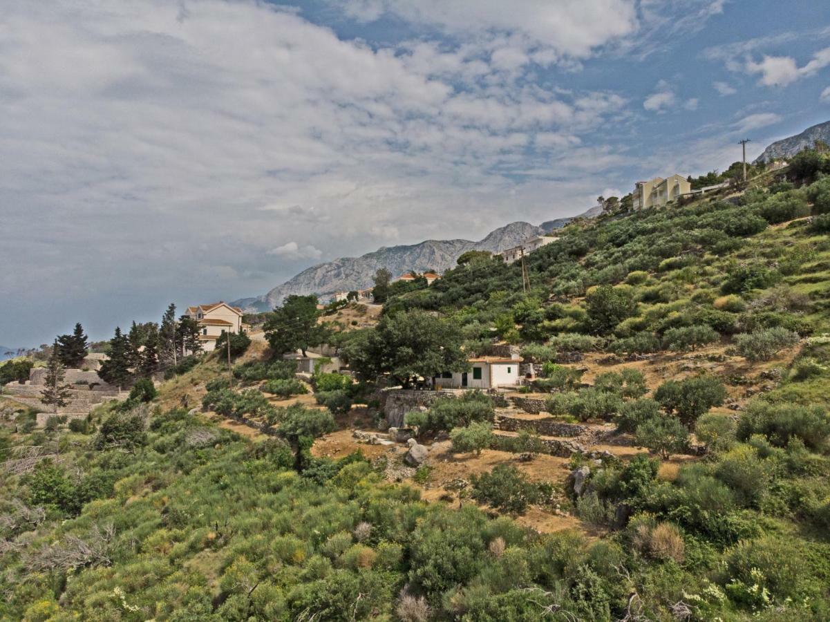 Villa " Davorka" Подгора Екстериор снимка